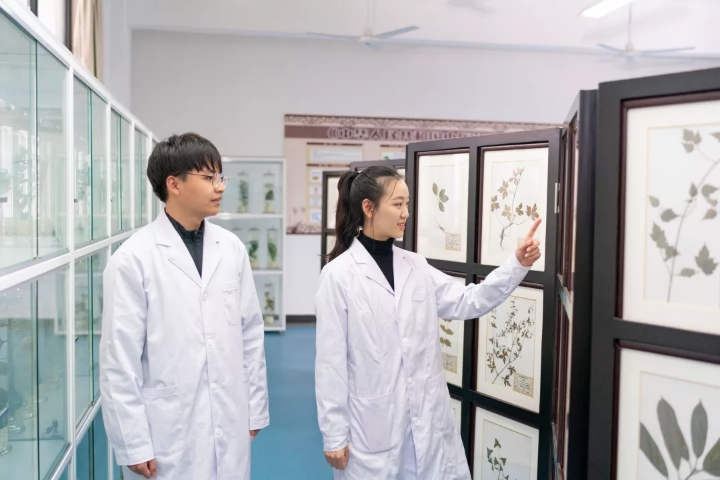 药学院招生简介(图7)