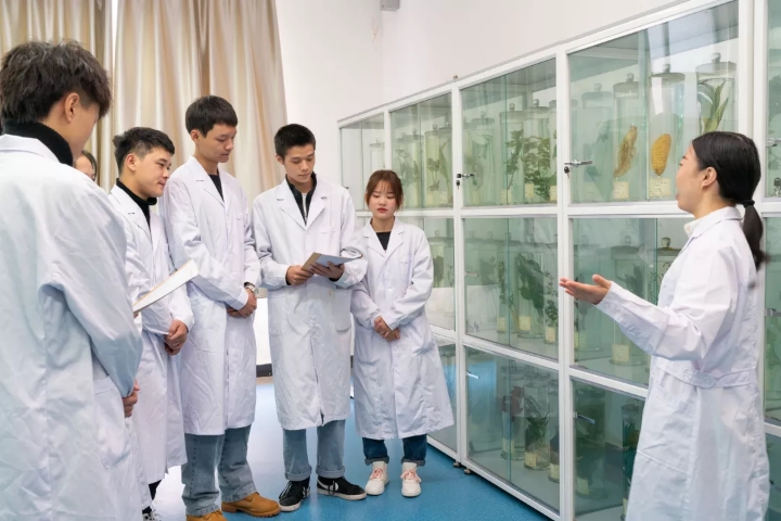 药学院招生简介(图8)