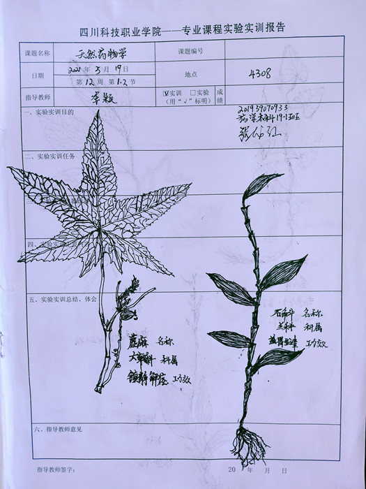 1-2105261643204V.jpg