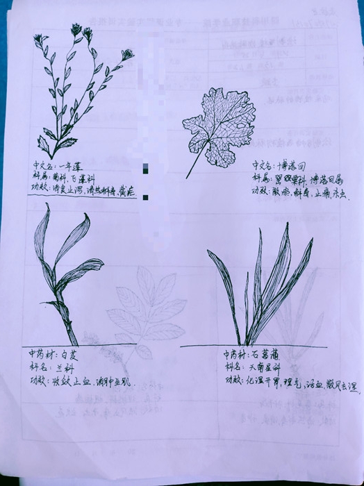 1-2105261645121b.jpg
