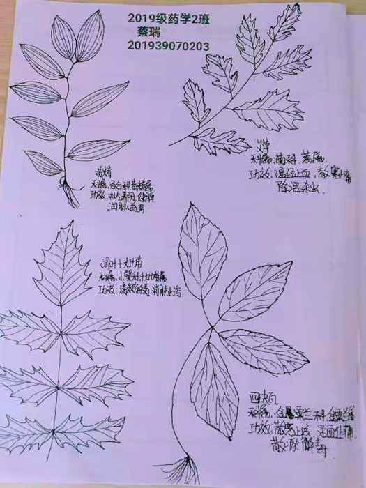 1-210526164602408.jpg
