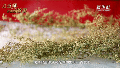 习近平讲述的故事｜“把脉”中医药(图6)