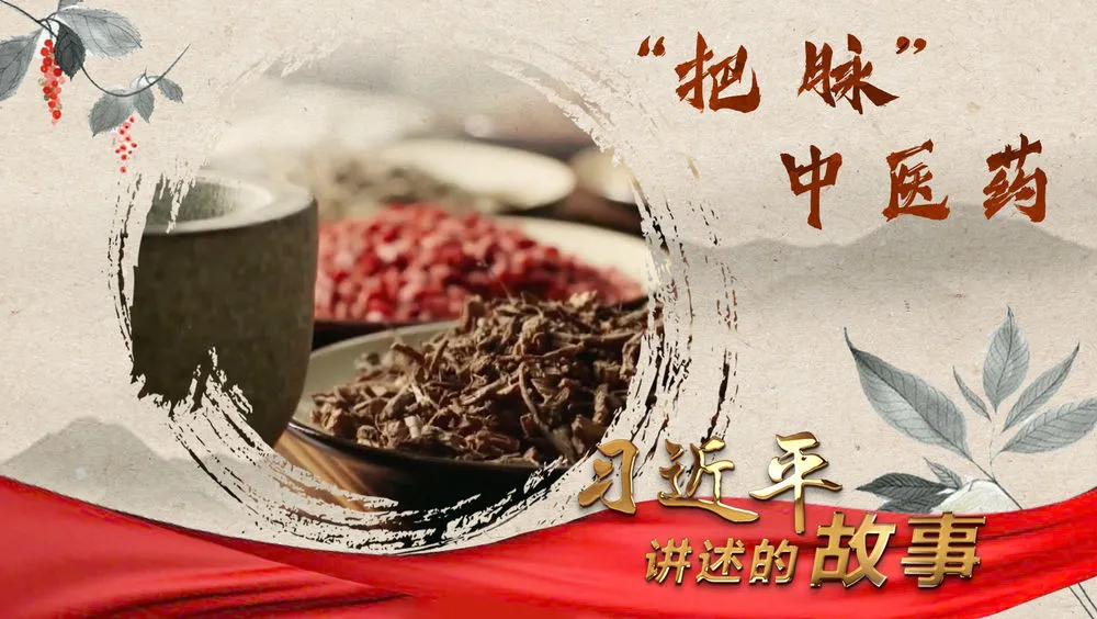 习近平讲述的故事｜“把脉”中医药(图8)