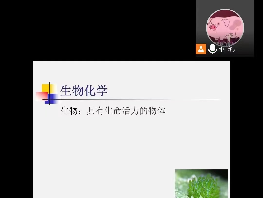 1-220913091440918.png