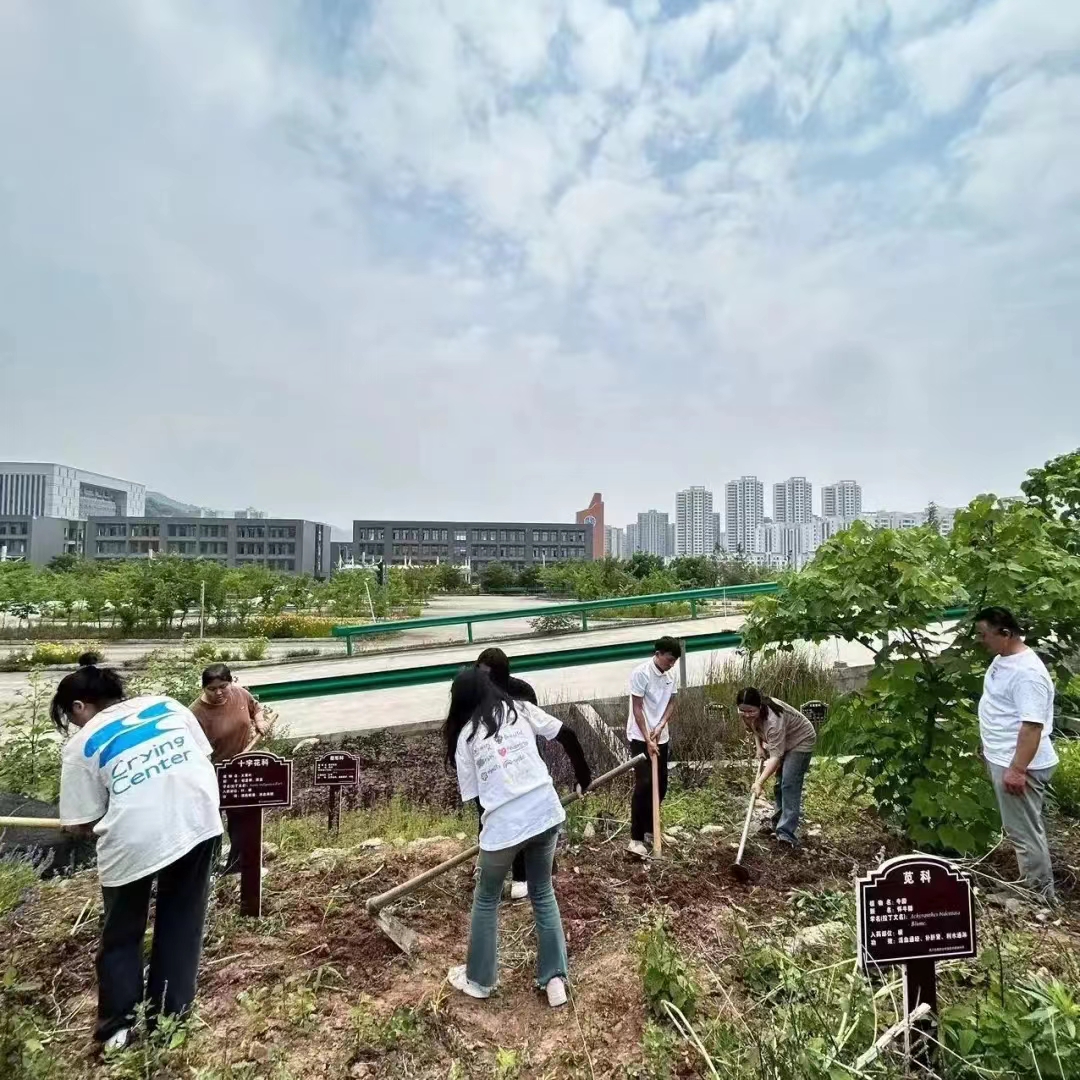 川科药学|“药韵飘香沁人心”中草药种植正当时(图2)