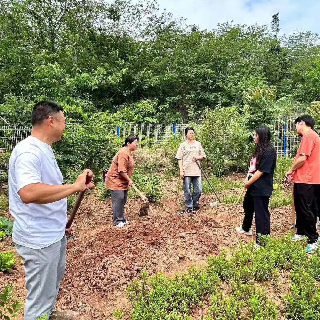 川科药学|“药韵飘香沁人心”中草药种植正当时(图3)